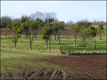 case study land resources case study land resources