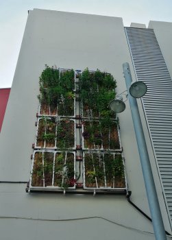 Green wall