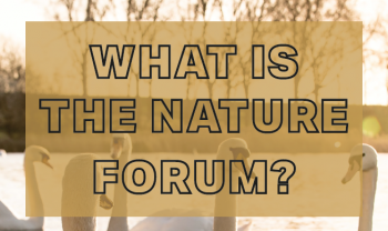 Nature Forum Marketing Flyer