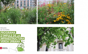 Renaturing Barcelona: various green typologies in the centre of the city. Bellow, on the left: Cover of the government measure “The Programme for Enhancing the Urban Green Infrastructure”. Photo captures: Corina Basnou. Renaturing Barcelona: various green typologies in the centre of the city. Bellow, on the left: Cover of the government measure “The Programme for Enhancing the Urban Green Infrastructure”. Photo captures: Corina Basnou.