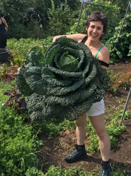 Sara Dastoum with a giant Brassica