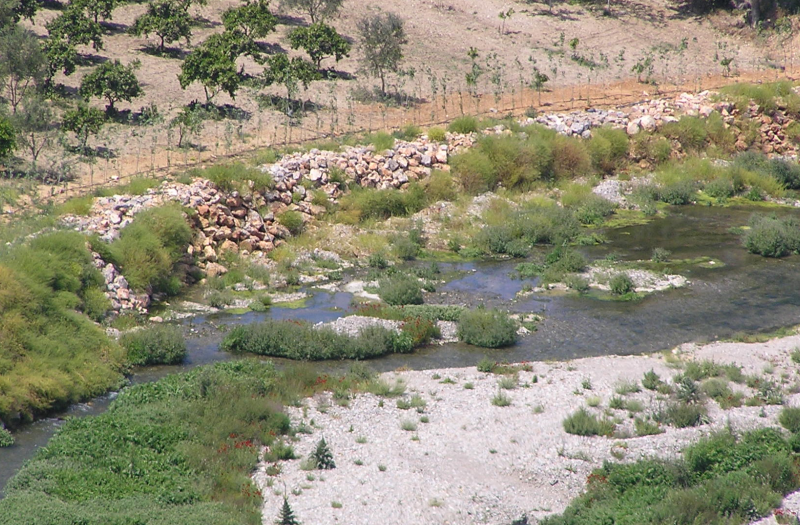 Riparian forest Restoration in Greece