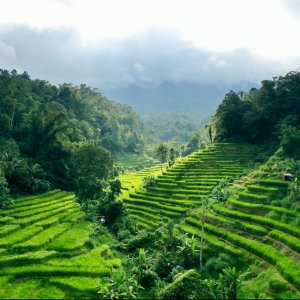 Nature-based solutions in action: Lessons from the frontline Nature-based solutions in action: Lessons from the frontline