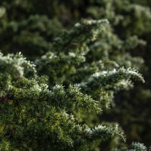 Bas van den Eijkhof, Unsplash Bas van den Eijkhof, Unsplash