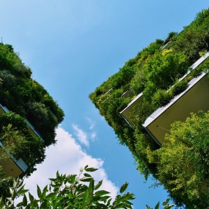Vertical Garden Milan https://unsplash.com/photos/Y7ufx8R8PM0 Vertical Garden Milan https://unsplash.com/photos/Y7ufx8R8PM0