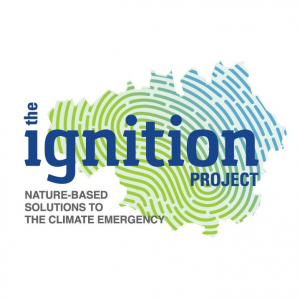 IGNITION project logo