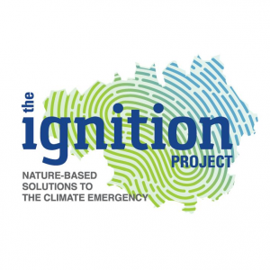 IGNITION project logo IGNITION project logo