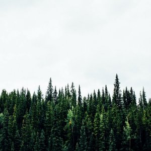 Michael Benz, Unsplash Michael Benz, Unsplash