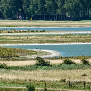 Municipality of Sluis, the Netherlands: newly developed tidal nature in combination with recreation and coastal defense at Waterdunen project