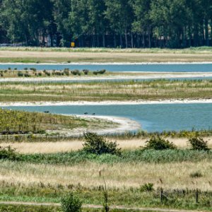 Municipality of Sluis, the Netherlands: newly developed tidal nature in combination with recreation and coastal defense at Waterdunen project Municipality of Sluis, the Netherlands: newly developed tidal nature in combination with recreation and coastal defense at Waterdunen project