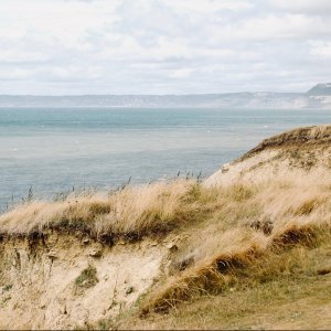 Riches of the dunes: Measuring and protecting coastal dune biodiversity through Nature-based Solutions 