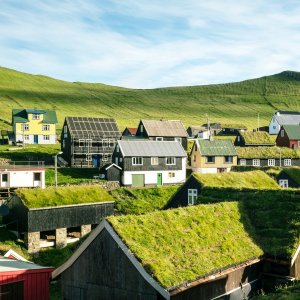 Unsplash – Tommy Kwak: maisons brunes et blanches sur le champ d'herbe verte pendant la journée Unsplash – Tommy Kwak: maisons brunes et blanches sur le champ d'herbe verte pendant la journée