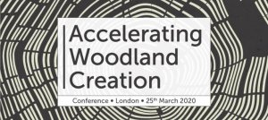 Accelerating Woodland Creation 