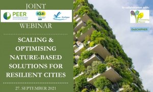 Scaling and optimising nature-based solution for resilient cities