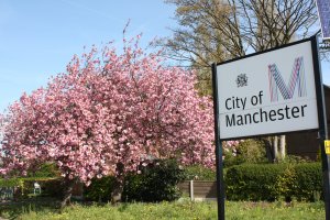Manchester City of Trees