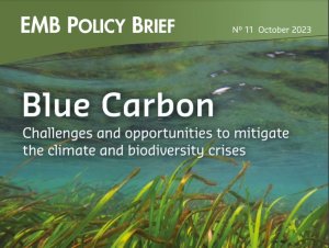 Blue Carbon: Challenges And Opportunities To Mitigate The Climate And ...