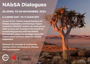 NAbSA Dialogues : Ecosystem - Evaluation & Cartography NAbSA Dialogues : Ecosystem - Evaluation & Cartography