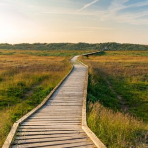 Footpath to the sea at the Gronant Dunes Nature Reserve, Denbighshire, Wales, UK