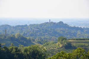Vincenzo Tabaglio, Unsplash Vincenzo Tabaglio, Unsplash
