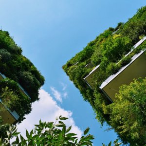 Vertical Garden Milan https://unsplash.com/photos/Y7ufx8R8PM0