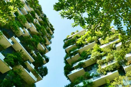 Twin skyscrapers with trees on the balconies during the summer