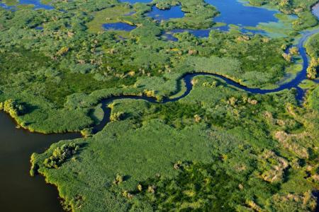 Aerial view of a wetland