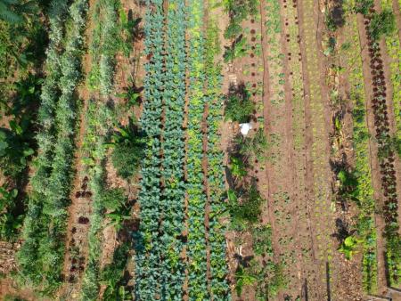De Janeiro Brazil agro ecological garden