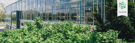 Greenery in front of building