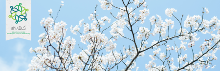 eNaBLS banner