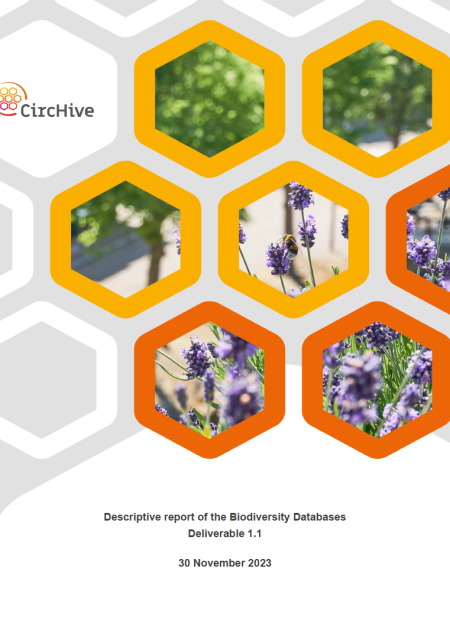 Database report front cover.