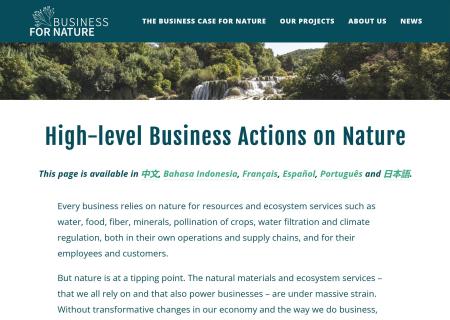 High Level Business Action on Nature web page