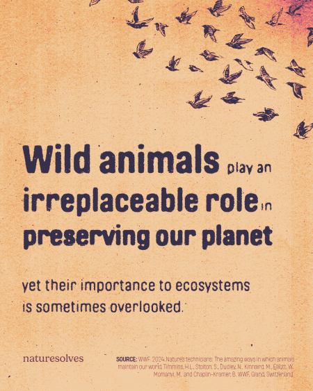 Nature's Technicians report Nature Solves post