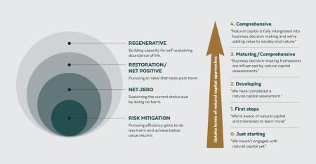 Regenerative model and uptake pathways
