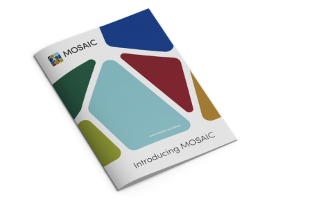 Mosaic briefing pack