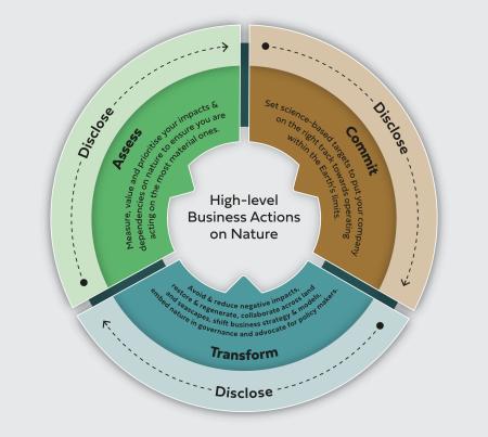ACT-D Framework