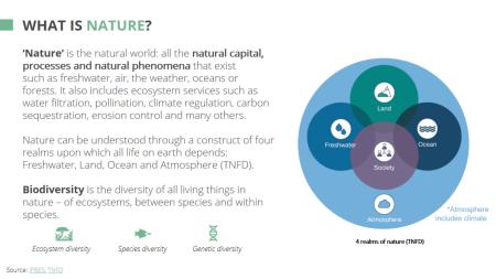 Business action narrarive slide 2