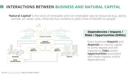 Business Action Narrative: Interactions between business and natural capital