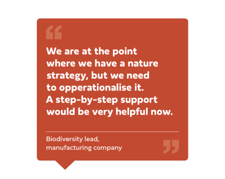 "We are at the point where we have a nature strategy, but we need to opperationalise it. A step-by-step support would be very helpful now." Biodiversity lead, manufacturing company