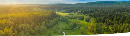 Oblique aerial image over wooded landscape with a meandering river.