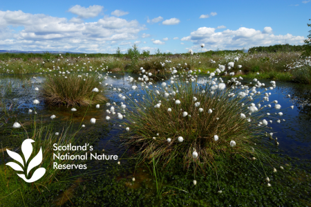 UK Biodiversity Indicators | Oppla
