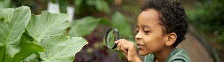 Child looking at plant with magnifying glass