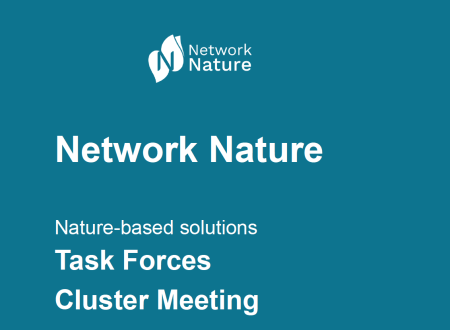 NN Task Forces Cluster Meeting