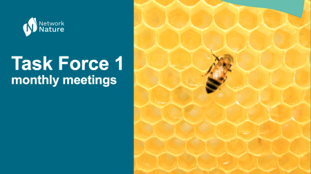 TF1 monthly meetings