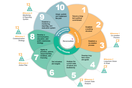 Urban greening plan 10 steps infographic