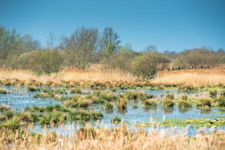 European wetlands - blue sky 