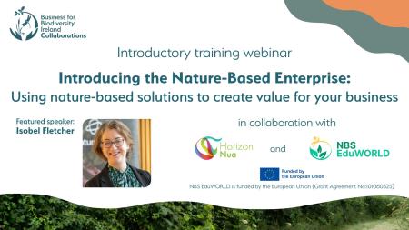 Introducing the Nature-Based Enterprise: Using nature-based solutions to create value for your business