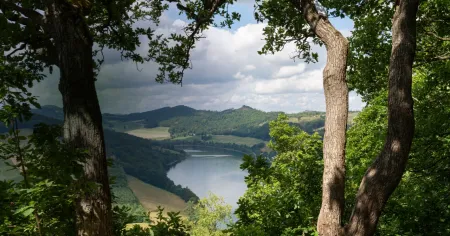 Image of landscape with a lake and distant hills, viewed between the trunks of two trees.