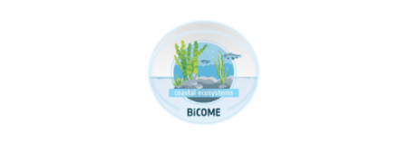 Bicome logo - mini underwater seascape in circle