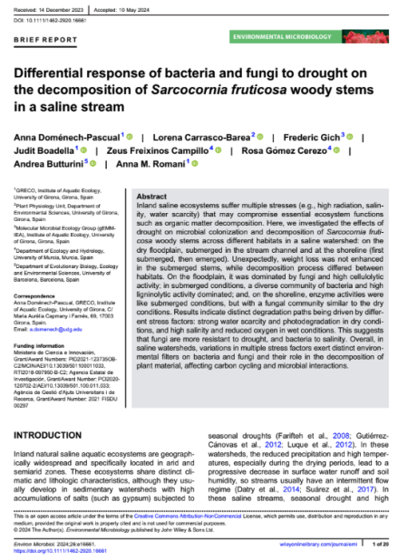 Differential response of bacteria and fungi to drought on the decomposition of Sarcocornia fruticosa woody stems in a saline stream