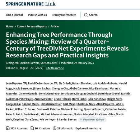Enhancing Tree Performance Through Species Mixing: Review of a Quarter-Century of TreeDivNet Experiments Reveals Research Gaps and Practical Insights